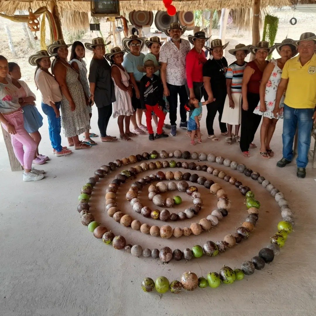 Galería 2